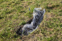 Founding the Elephant Concrete In 1950 Maurice Hercog led the expedition to the Annapurna northern wall, thus reaching the first eight-thousander in history. The conquering of all 14 world highest peaks concluded with the final peak &ndash; &nbsp;Shishapangma in 1964. Explorer 6, the first satellite to make photos of the Earth, was sent into space in 1959. Since then there is no single square meter of the Earth left, which couldn&rsquo;t be found on Google maps. No island in Pacific Ocean. The fifth part of the bottom of the sea is explored as well, with the complete mapping set to be finished around 2030. When the world was young, there was a lot of uninhabited islands to reveal. But, given the ever-increasing rate of discovery and the fact that every next explorer needs to dig-out even more, can one still find a meadow, where the world is young?&nbsp;&nbsp;