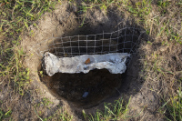 Founding the Elephant Concrete In 1950 Maurice Hercog led the expedition to the Annapurna northern wall, thus reaching the first eight-thousander in history. The conquering of all 14 world highest peaks concluded with the final peak &ndash; &nbsp;Shishapangma in 1964. Explorer 6, the first satellite to make photos of the Earth, was sent into space in 1959. Since then there is no single square meter of the Earth left, which couldn&rsquo;t be found on Google maps. No island in Pacific Ocean. The fifth part of the bottom of the sea is explored as well, with the complete mapping set to be finished around 2030. When the world was young, there was a lot of uninhabited islands to reveal. But, given the ever-increasing rate of discovery and the fact that every next explorer needs to dig-out even more, can one still find a meadow, where the world is young?&nbsp;&nbsp;